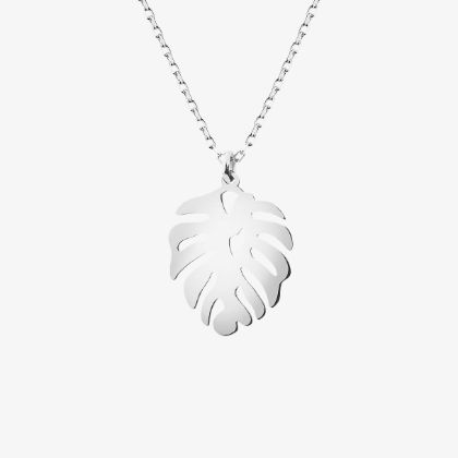 Monstera