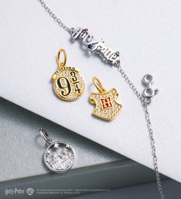 Pendants and chain from the Harry Potter collection