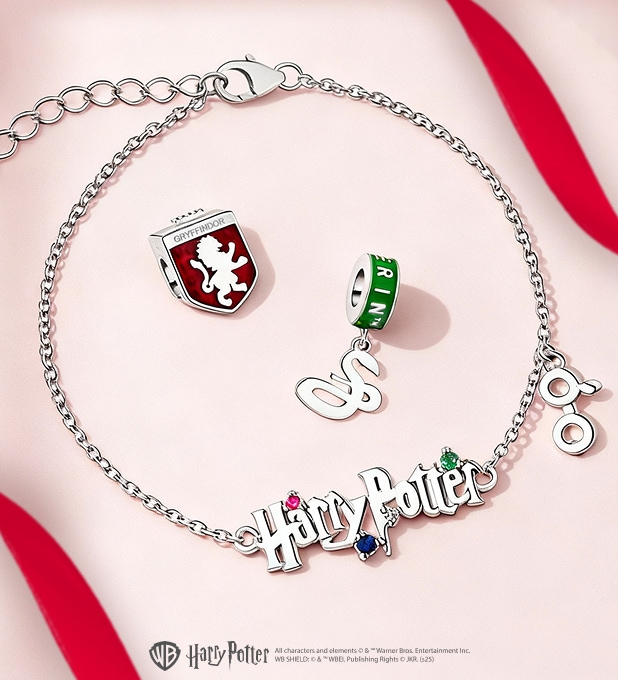 Pendants and chain from the Harry Potter collection