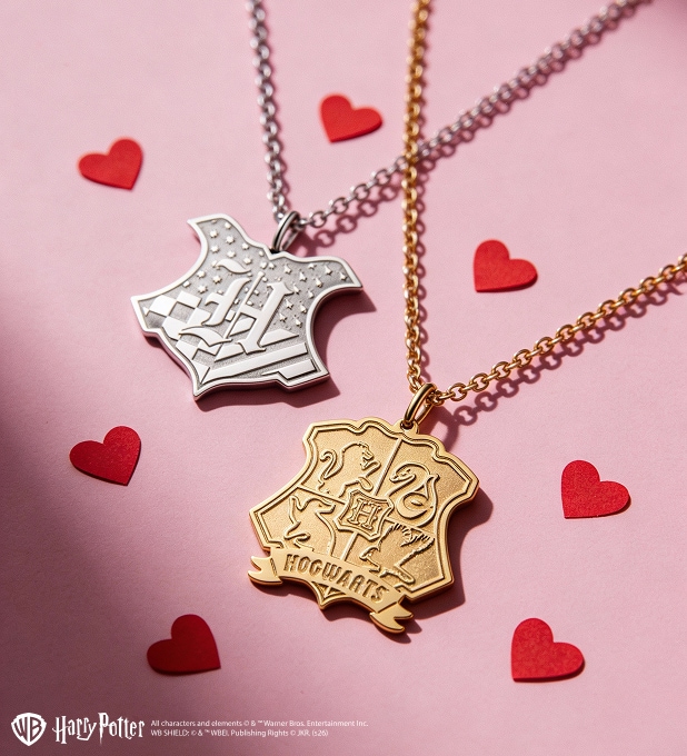 Silver and Gold Stainless Steel Necklaces - Harry Potter, Warner Bros. Discovery