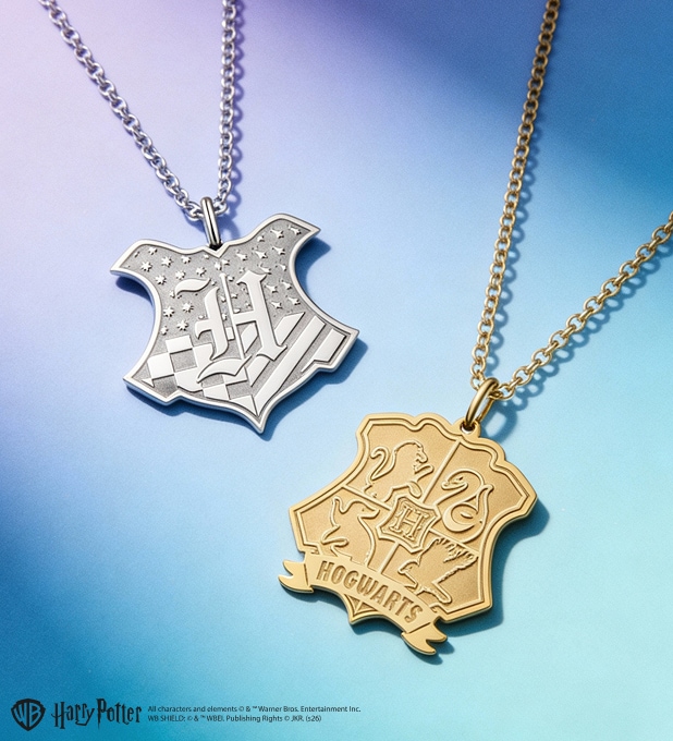 Silver and Gold Stainless Steel Necklaces - Harry Potter, Warner Bros. Discovery