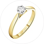 Rings Category