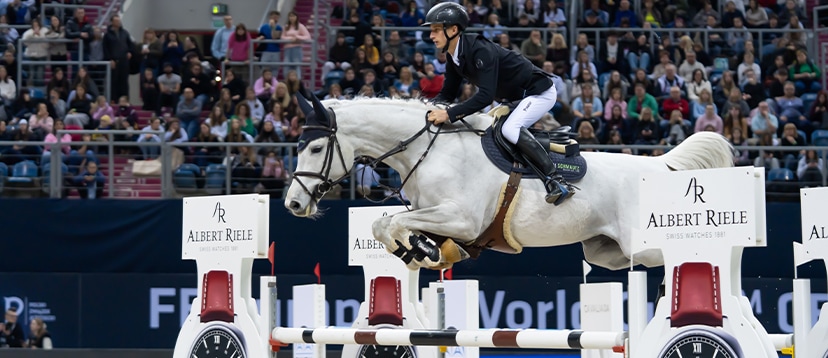 Jeździec na białym koniu podczas zawodów jeździeckich w Polsce Cavaliada Tour 2025/2026