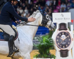 Albert Riele Partnerem Cavaliady 2022 2023 2 - 5