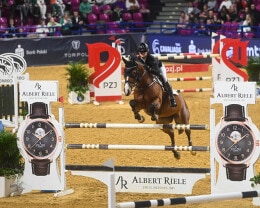 Albert Riele Partnerem Cavaliady 2022 2023 2 - 6