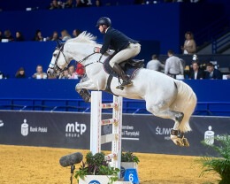 Albert Riele Partnerem Cavaliady 2022 2023 2 - 7