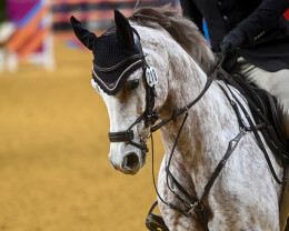 Albert Riele Partnerem Cavaliady 2022 2023 2 - 15