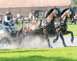 Albert Riele Na Baborowko Jumping Show 2025 - 7