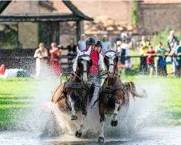 Albert Riele Na Baborowko Jumping Show 2025 - 8