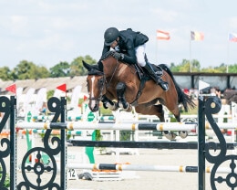 Albert Riele Na Baborowko Jumping Show 2025 - 9