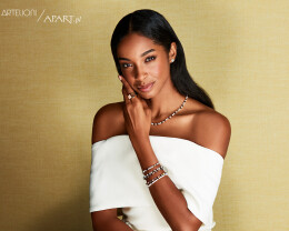 Artelioni X Top Model - 15