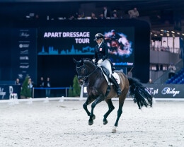 Cavaliada Tour 2025 2026 - 3