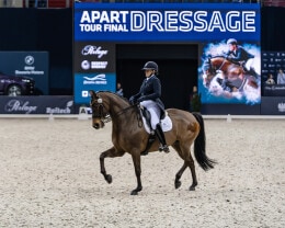 Cavaliada Tour 2025 2026 - 5