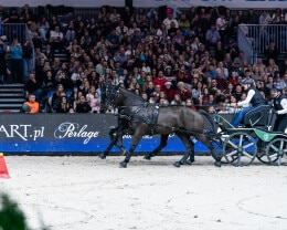 Cavaliada Tour 2025 2026 - 6