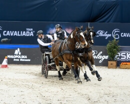 Cavaliada Tour 2025 2026 - 9