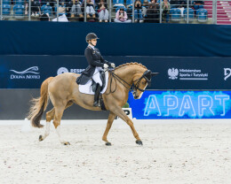 Cavaliada Tour 2025 2026 - 11