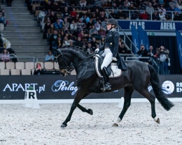 Cavaliada Tour 2025 2026 - 13