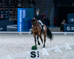 Cavaliada Tour 2025 2026 - 23