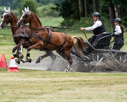 Baborowko Jumping Show 2026 Pop - 17