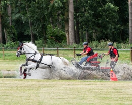Baborowko Jumping Show 2026 Pop - 18