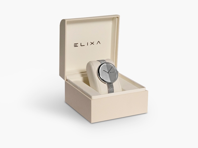 srebrny zegarek E106-L424 w pudełku